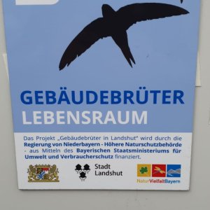 030f51d9-1d32-a3b9-5105-a604d3b12816